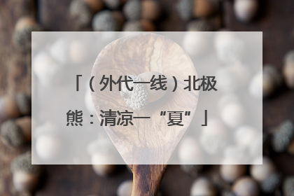 （外代一线）北极熊：清凉一“夏”