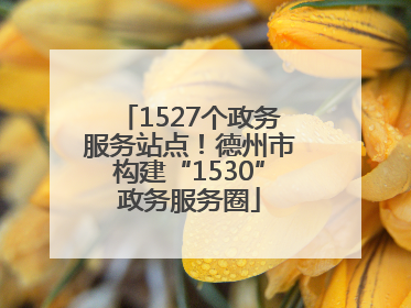 1527个政务服务站点！德州市构建“1530”政务服务圈