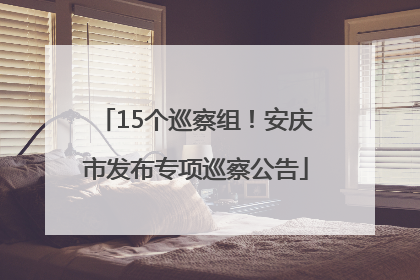 15个巡察组！安庆市发布专项巡察公告