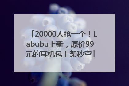 20000人抢一个！Labubu上新，原价99元的耳机包上架秒空