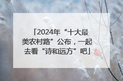 2024年“十大最美农村路”公布，一起去看“诗和远方”吧