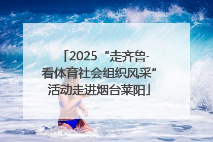 2025“走齐鲁·看体育社会组织风采”活动走进烟台莱阳