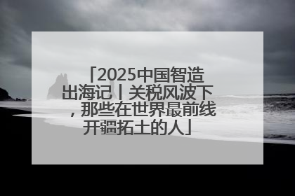 2025中国智造出海记丨关税风波下，那些在世界最前线开疆拓土的人