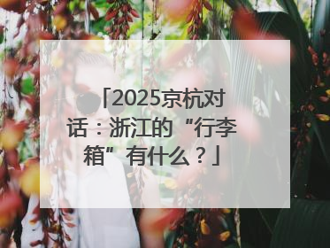 2025京杭对话：浙江的“行李箱”有什么？