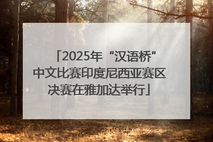 2025年“汉语桥”中文比赛印度尼西亚赛区决赛在雅加达举行