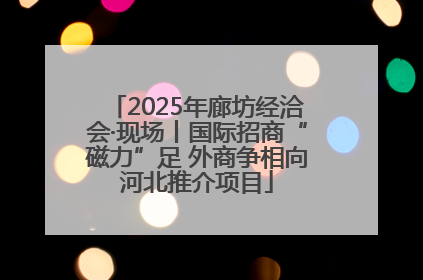 2025年廊坊经洽会·现场丨国际招商“磁力”足 外商争相向河北推介项目