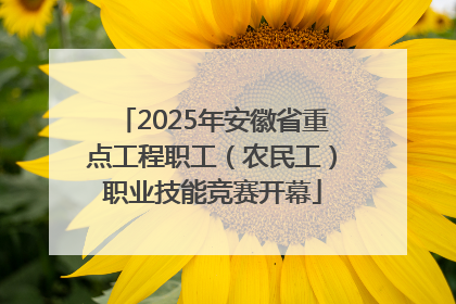2025年安徽省重点工程职工（农民工）职业技能竞赛开幕