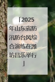 2025年山东省防汛防台风综合演练在潍坊昌乐举行