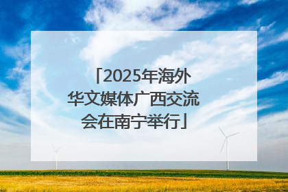 2025年海外华文媒体广西交流会在南宁举行
