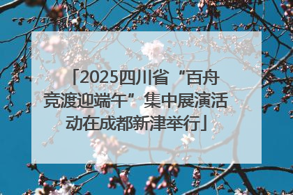 2025四川省“百舟竞渡迎端午”集中展演活动在成都新津举行