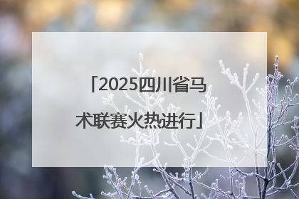 2025四川省马术联赛火热进行
