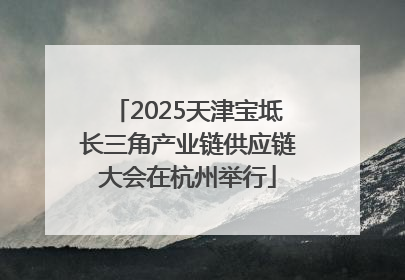 2025天津宝坻长三角产业链供应链大会在杭州举行