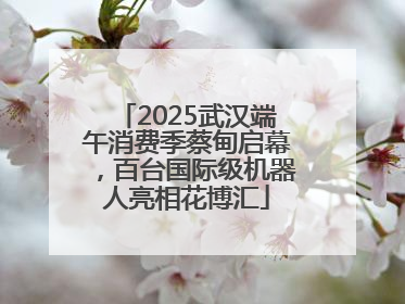 2025武汉端午消费季蔡甸启幕，百台国际级机器人亮相花博汇