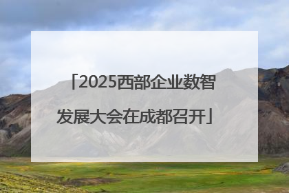 2025西部企业数智发展大会在成都召开