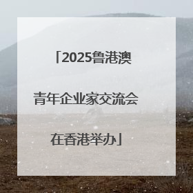 2025鲁港澳青年企业家交流会在香港举办