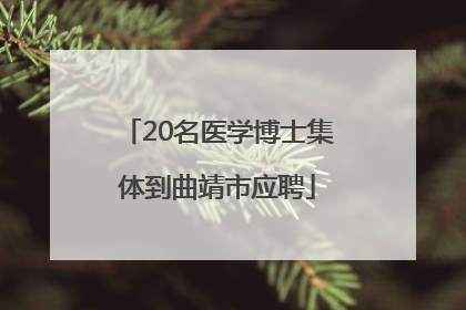 20名医学博士集体到曲靖市应聘