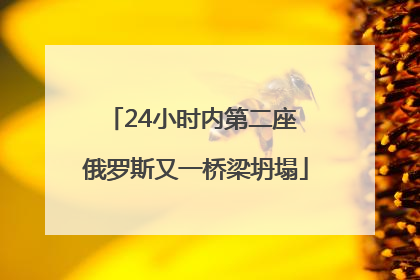 24小时内第二座 俄罗斯又一桥梁坍塌