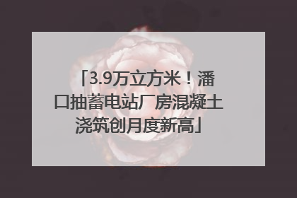3.9万立方米！潘口抽蓄电站厂房混凝土浇筑创月度新高