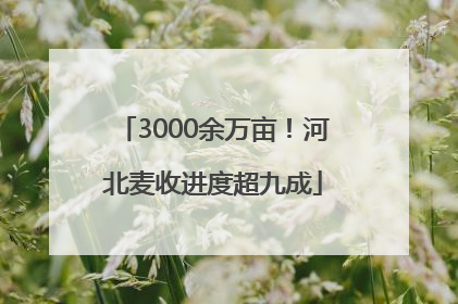 3000余万亩！河北麦收进度超九成