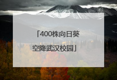 400株向日葵空降武汉校园