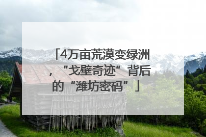 4万亩荒漠变绿洲，“戈壁奇迹”背后的“潍坊密码”