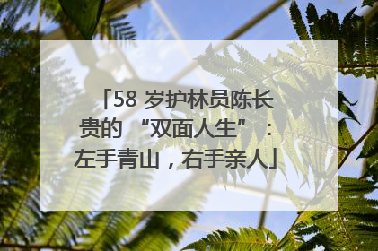 58 岁护林员陈长贵的 “双面人生”：左手青山，右手亲人