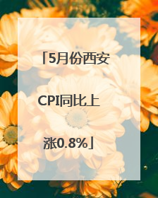 5月份西安CPI同比上涨0.8%