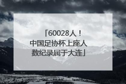 60028人！中国足协杯上座人数纪录属于大连