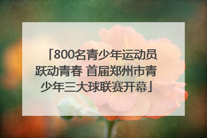800名青少年运动员跃动青春 首届郑州市青少年三大球联赛开幕