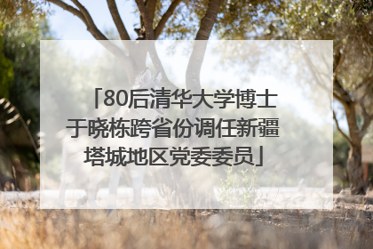 80后清华大学博士于晓栋跨省份调任新疆塔城地区党委委员