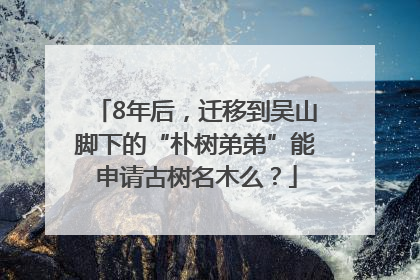 8年后，迁移到吴山脚下的“朴树弟弟”能申请古树名木么？