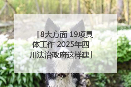 8大方面 19项具体工作 2025年四川法治政府这样建