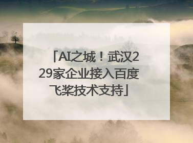 AI之城！武汉229家企业接入百度飞桨技术支持