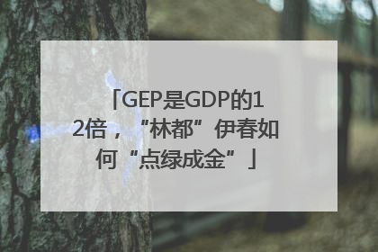 GEP是GDP的12倍，“林都”伊春如何“点绿成金”