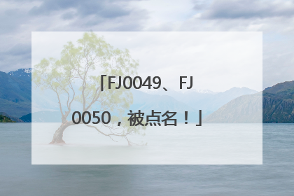 FJ0049、FJ0050，被点名！